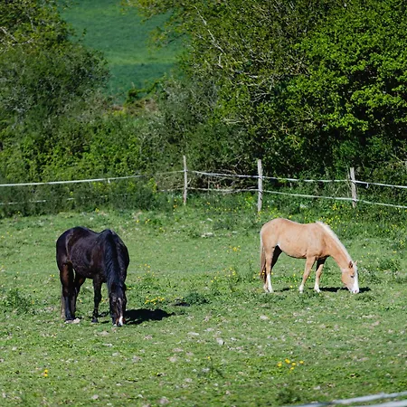 ô Pré'vert * Le Poiré-sur-Vie
